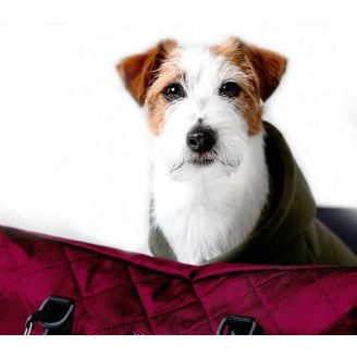 Сумка гамак для собак - VOYAGE Bordo фото 2