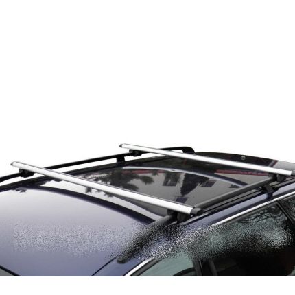 Багажник на крышу универсальный Рейлинг Аэро 140 см фото