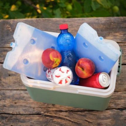 Аккумулятор холода гелевый 230*175*25 мм 800 мл Quest (Q800) фото