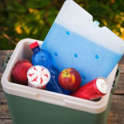 Акумулятор холоду гелевий 340*240*25 мм 1500 мл Quest (Q1500) фото